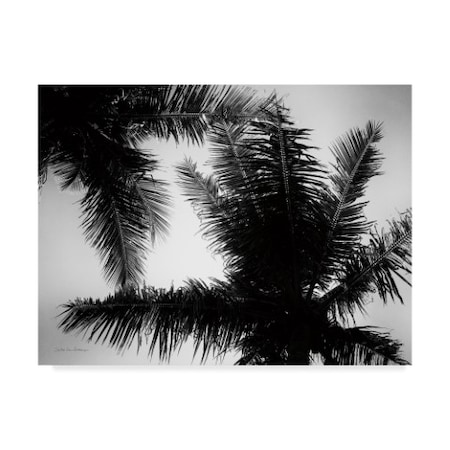 Debra Van Swearingen 'Palm Tree Looking Up I' Canvas Art,18x24